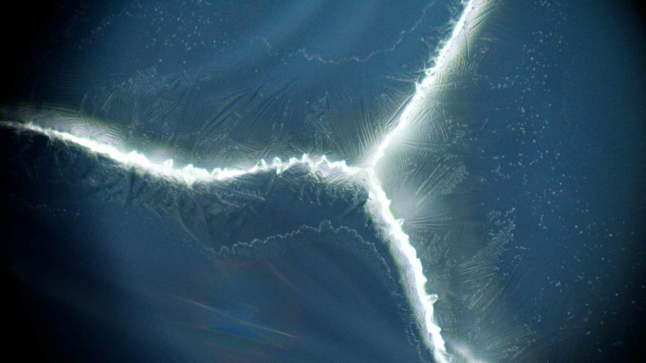 Microscopic photography and video